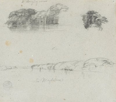 Sketches of Trees, Vines and a Bank of the Rio Magdalena, Colombia by Frederic Edwin Church